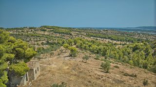 Αγροτεμάχια 20.000 τ.μ. για πώληση, Αργολίδα, Κρανίδι-thumb-10