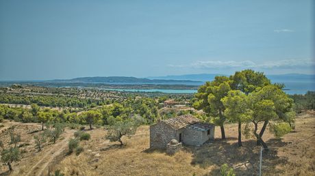 Αγροτεμάχια 20.000 τ.μ. για πώληση