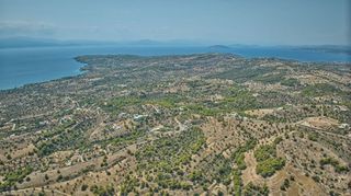 Αγροτεμάχια 20.000 τ.μ. για πώληση, Αργολίδα, Κρανίδι-thumb-23