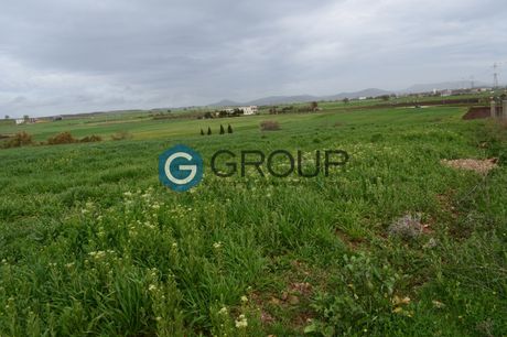 Parcel 4.000sqm for sale-Alexandroupoli » Apalos