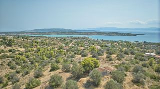 Αγροτεμάχια 14.900 τ.μ. για πώληση, Αργολίδα, Κρανίδι-thumb-2