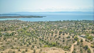 Αγροτεμάχια 14.900 τ.μ. για πώληση, Αργολίδα, Κρανίδι-thumb-6