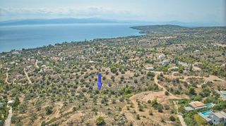Αγροτεμάχια 14.900 τ.μ. για πώληση, Αργολίδα, Κρανίδι-thumb-7