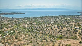 Αγροτεμάχια 14.900 τ.μ. για πώληση, Αργολίδα, Κρανίδι-thumb-8