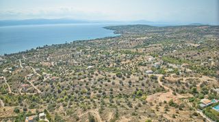 Αγροτεμάχια 14.900 τ.μ. για πώληση, Αργολίδα, Κρανίδι-thumb-9