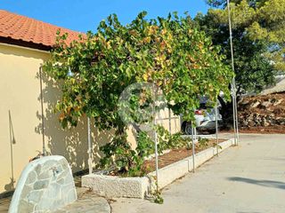 Bungalow 117 τ.μ. πρός πώληση, Αργολίδα, Κρανίδι-thumb-17