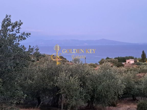Αγροτεμάχια 3.720 τ.μ. για πώληση, Ν. Καβάλας, Ελευθερές