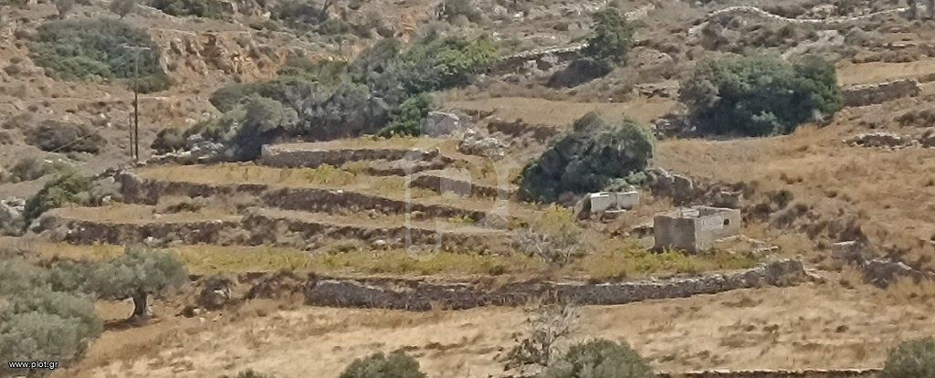 Αγροτεμάχια 2.150 τ.μ. προς πώληση, Κώστος