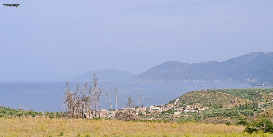Αγροτεμάχια 34.000 τ.μ. προς πώληση, Ροβιές
