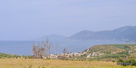 Parcel 34.000sqm for sale-Limni » Rovies