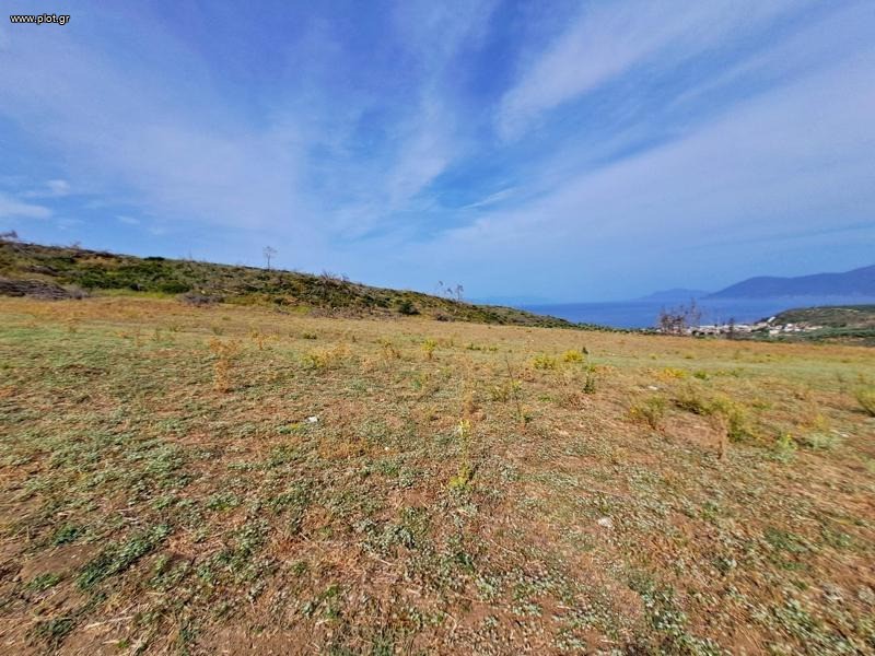 Αγροτεμάχια 34.000 τ.μ. προς πώληση, Ροβιές