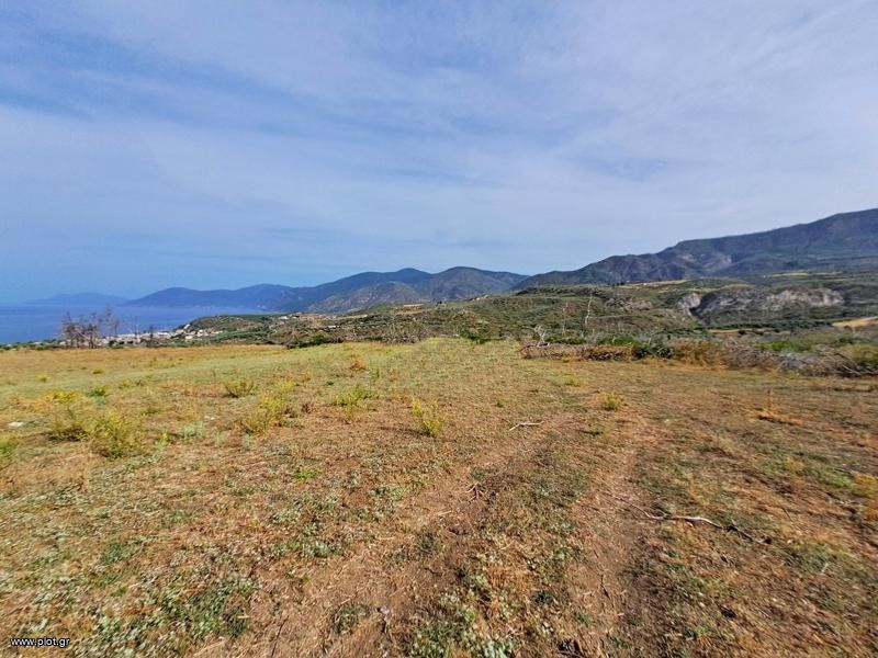 Αγροτεμάχια 34.000 τ.μ. προς πώληση, Ροβιές