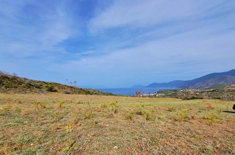 Αγροτεμάχια 34.000 τ.μ. προς πώληση, Ροβιές