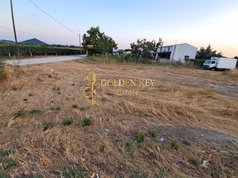 Οικόπεδο 1.550 τ.μ. για πώληση, Ν. Καβάλας, Ελευθερές