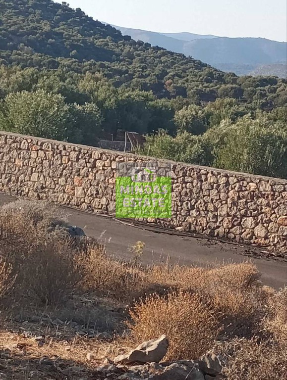 Οικόπεδο 13.900 τ.μ. πρός πώληση, Ν. Ρεθύμνου, Κουλουκώνας