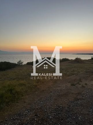 Land plot 400 sqm for sale, Chalkidiki, Kallikrateia