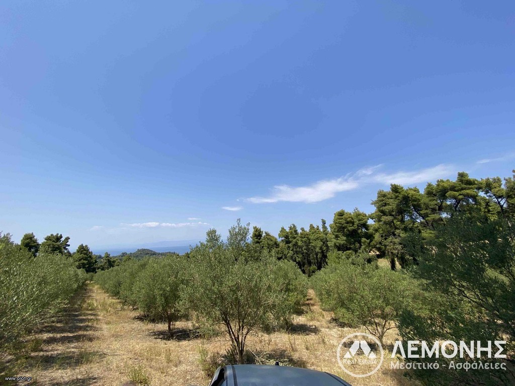 Αγροτεμάχια 8.000 τ.μ. πρός πώληση, Χαλκιδική, Κασσάνδρα