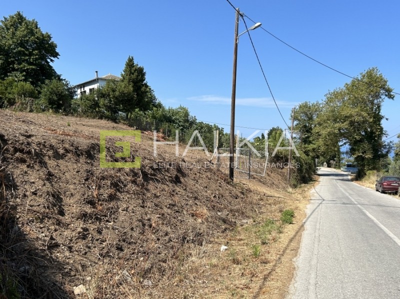 Οικόπεδο 3.764 τ.μ. πρός πώληση, Μαγνησία, Αφέτες