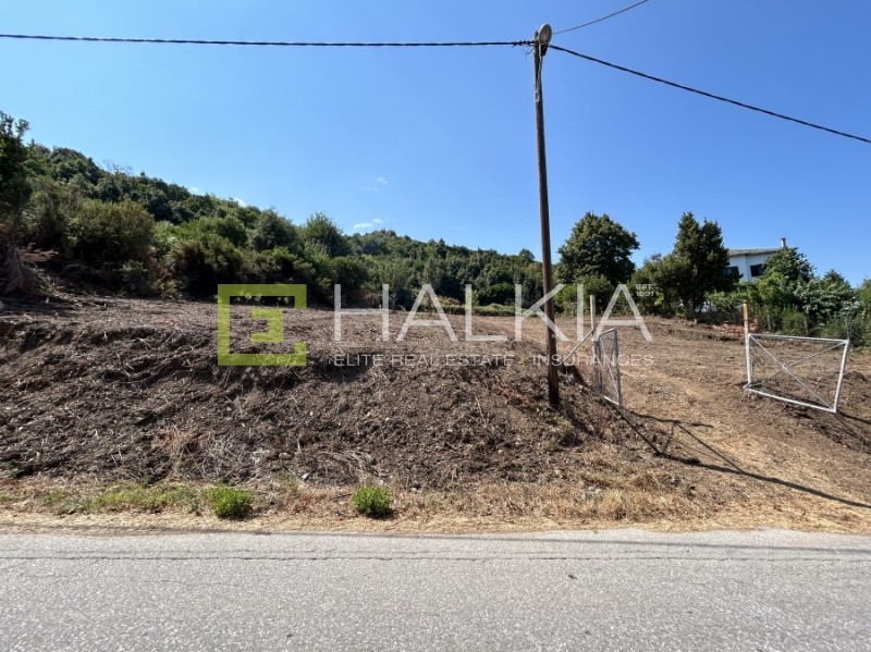 Οικόπεδο 3.764 τ.μ. πρός πώληση, Μαγνησία, Αφέτες