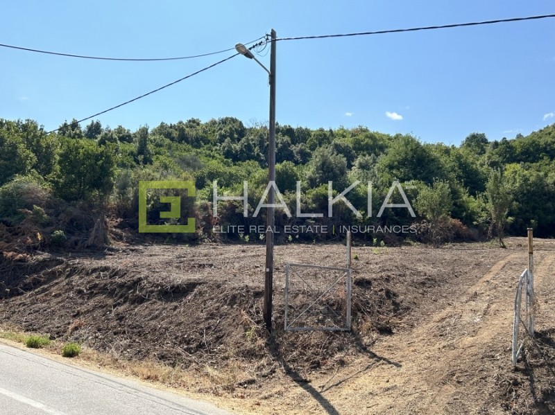 Οικόπεδο 3.764 τ.μ. πρός πώληση, Μαγνησία, Αφέτες