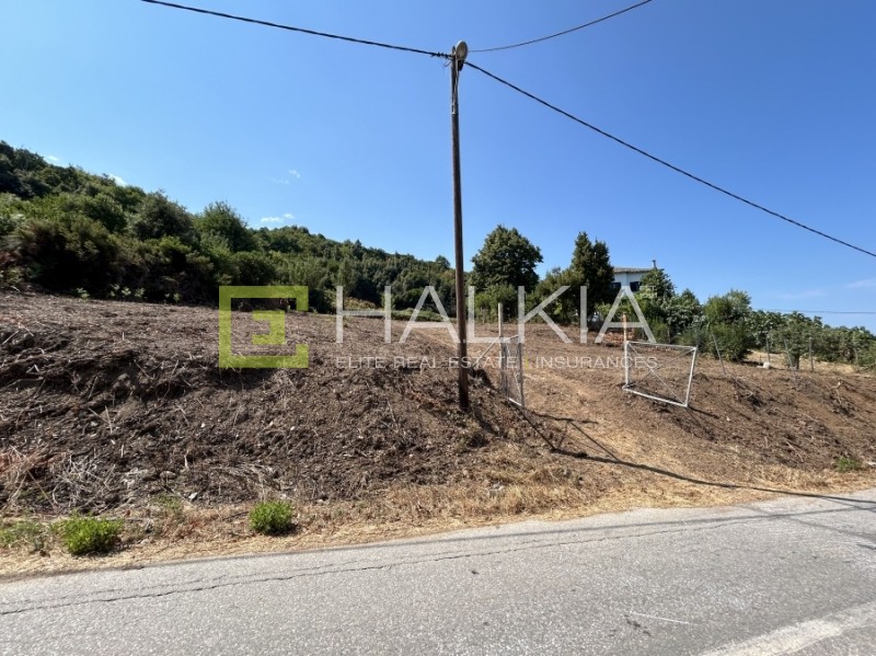 Οικόπεδο 3.764 τ.μ. πρός πώληση, Μαγνησία, Αφέτες