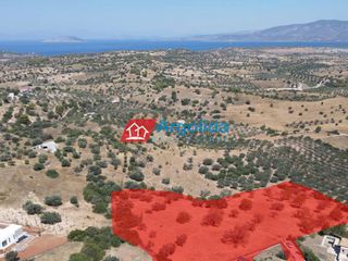 Αγροτεμάχια 11.650 τ.μ. για πώληση, Αργολίδα, Κρανίδι-thumb-10