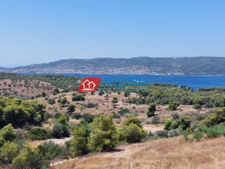 Αγροτεμάχια 11.650 τ.μ. για πώληση, Αργολίδα, Κρανίδι-thumb-14