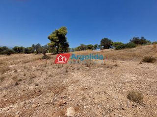 Αγροτεμάχια 11.650 τ.μ. για πώληση, Αργολίδα, Κρανίδι-thumb-12