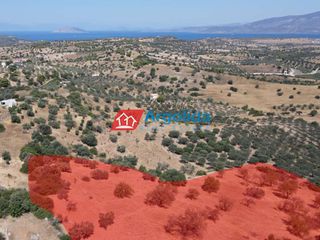 Αγροτεμάχια 11.650 τ.μ. για πώληση, Αργολίδα, Κρανίδι-thumb-7