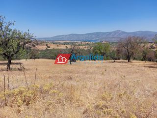 Αγροτεμάχια 11.650 τ.μ. για πώληση, Αργολίδα, Κρανίδι-thumb-15