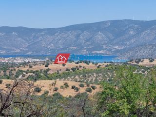 Αγροτεμάχια 11.650 τ.μ. για πώληση, Αργολίδα, Κρανίδι-thumb-18