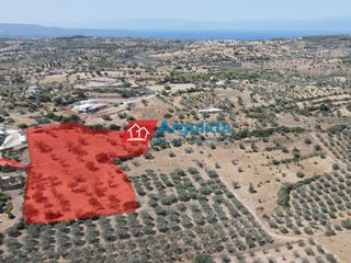 Αγροτεμάχια 11.650 τ.μ. για πώληση, Αργολίδα, Κρανίδι-thumb-3