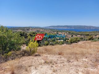 Αγροτεμάχια 11.650 τ.μ. για πώληση, Αργολίδα, Κρανίδι-thumb-5