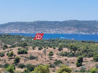 Αγροτεμάχια 11.650 τ.μ. για πώληση, Αργολίδα, Κρανίδι-thumb-4