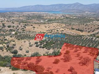 Αγροτεμάχια 11.650 τ.μ. για πώληση, Αργολίδα, Κρανίδι-thumb-8