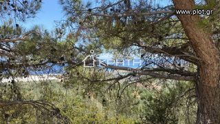Συγκρότημα διαμερισμάτων 125 τ.μ. για πώληση, Ν. Λασιθίου, Ιεράπετρα-thumb-15