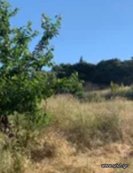 Land plot 9.000sqm for sale-Naxos - Drimalia » Lygaridia