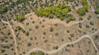 Αγροτεμάχια 8.654 τ.μ. για πώληση, Αργολίδα, Κρανίδι-thumb-24