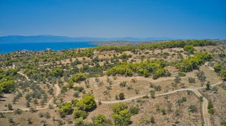 Αγροτεμάχια 8.654 τ.μ. για πώληση, Αργολίδα, Κρανίδι-thumb-6