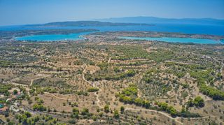Αγροτεμάχια 8.654 τ.μ. για πώληση, Αργολίδα, Κρανίδι-thumb-18