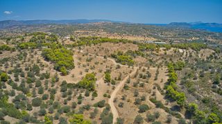 Αγροτεμάχια 8.654 τ.μ. για πώληση, Αργολίδα, Κρανίδι-thumb-17