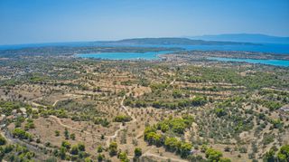 Αγροτεμάχια 8.654 τ.μ. για πώληση, Αργολίδα, Κρανίδι-thumb-16