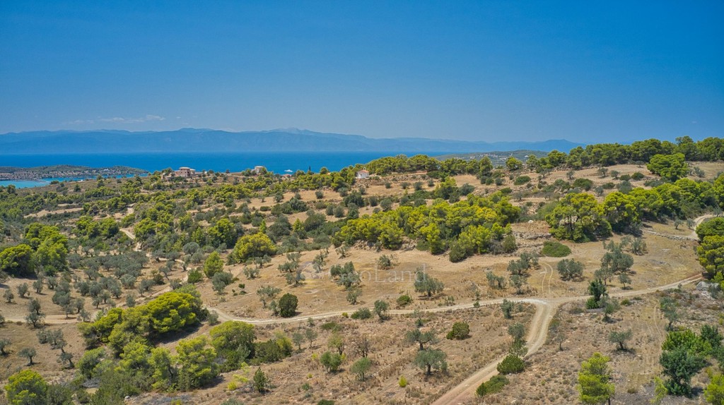 Αγροτεμάχια 8.654 τ.μ. για πώληση, Αργολίδα, Κρανίδι