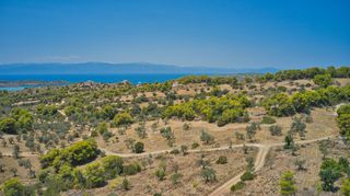 Αγροτεμάχια 8.654 τ.μ. για πώληση