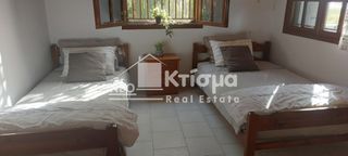 Άλλο 65 τ.μ. για ενοικίαση, Ν. Ηλείας, Πύργος-thumb-3