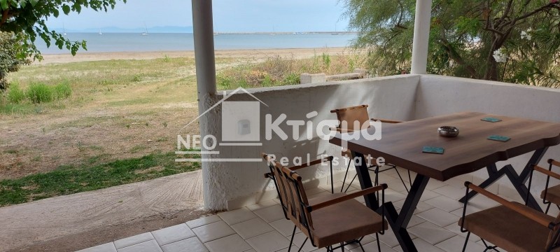 Κατοικία 65 τ.μ. πρός ενοικίαση, Ν. Ηλείας, Πύργος