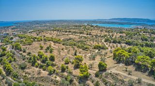 Αγροτεμάχια 9.010 τ.μ. για πώληση, Αργολίδα, Κρανίδι-thumb-1