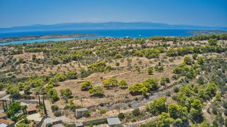 Αγροτεμάχια 9.010 τ.μ. για πώληση, Αργολίδα, Κρανίδι-thumb-6