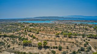 Αγροτεμάχια 9.010 τ.μ. για πώληση, Αργολίδα, Κρανίδι-thumb-5