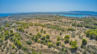 Αγροτεμάχια 9.010 τ.μ. για πώληση, Αργολίδα, Κρανίδι-thumb-11